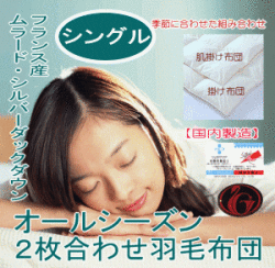 �������ʼ��Τ褤�������Ĥ�᡼����ľ�β��ʤǡ������륷�������б��Σ����碌�������ġ����󥰥�