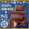 �ե�󥹻��ե�����100�󱩺�����8�����åȡ����󥰥�(�֥饦��١�����)