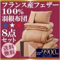 �ե�󥹻��ե�����100�󱩺�����8�����åȡ����󥰥�(�������˥å������ܥ꡼)