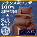 �ե�󥹻��ե�����100�󱩺�����8�����åȡ����ߥ��֥�(�֥饦��١�����)